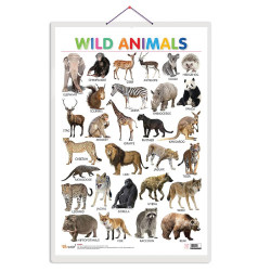 Animal Kingdom Chart