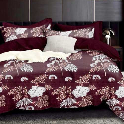 Corlor Bedsheet 01
